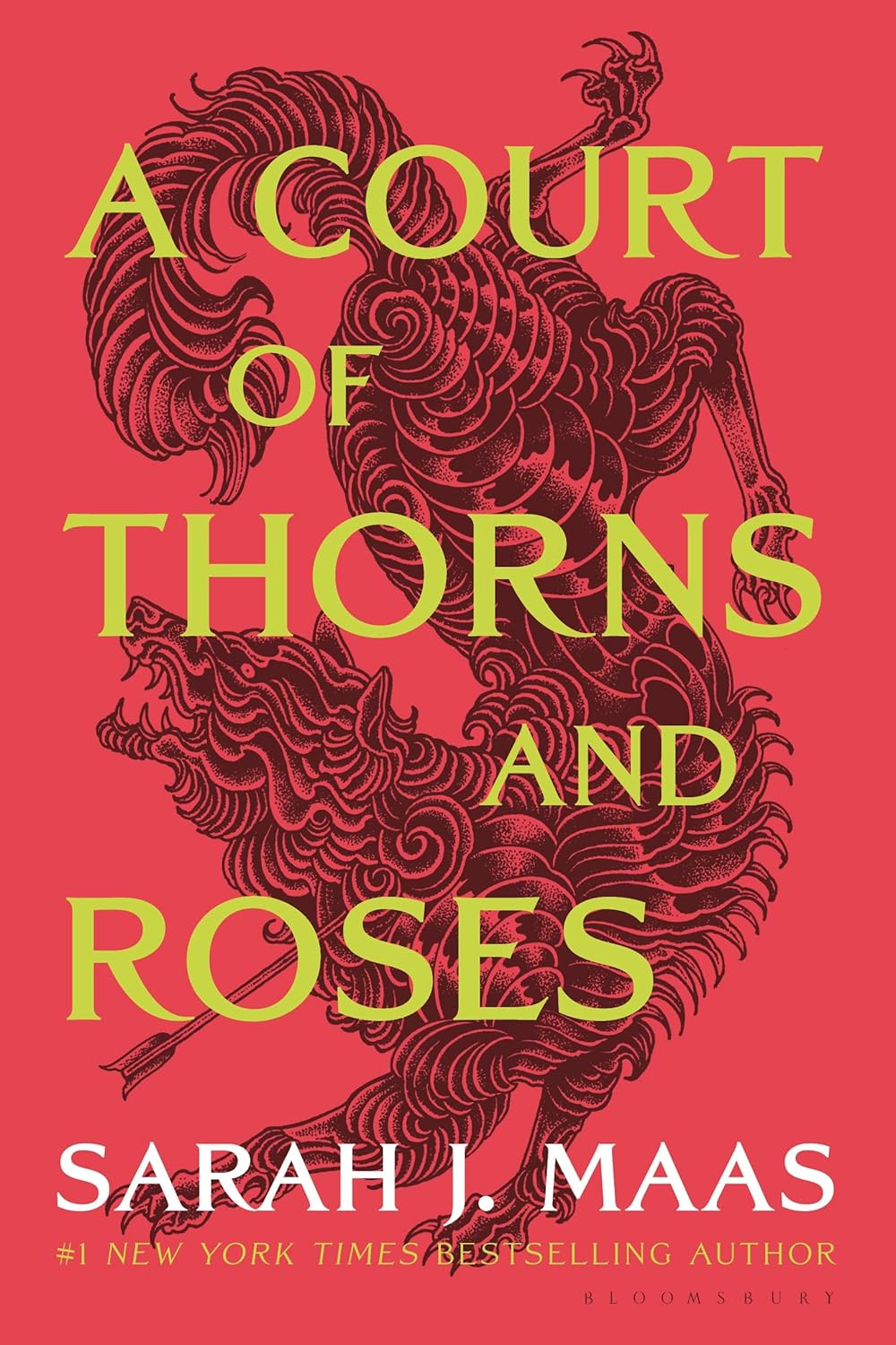 A Court of Thorns and Roses PB