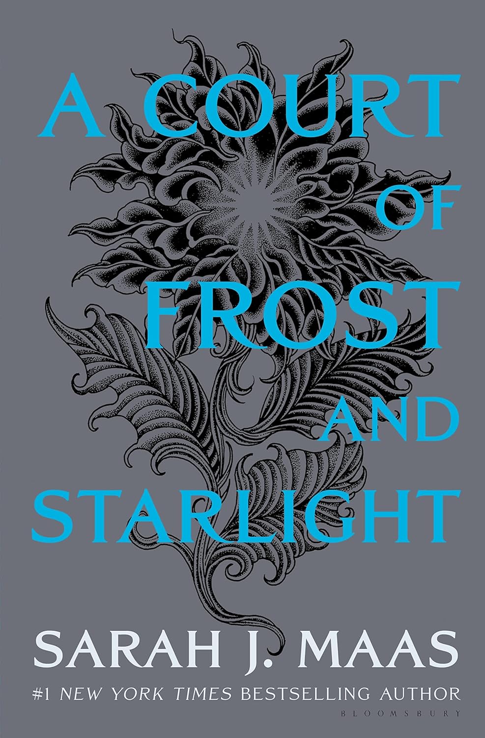 A Court Of Frost and Starlight HC