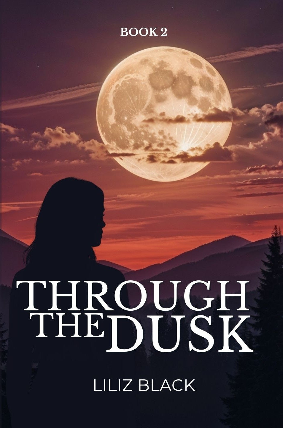 Through the Dusk
